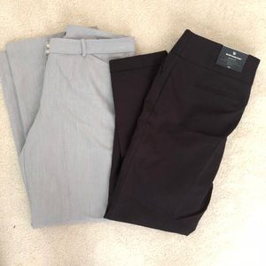 Size 14 Worthingron Dress Pants Bundle